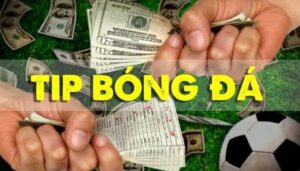 Doi net ve website ban tips bong da 1