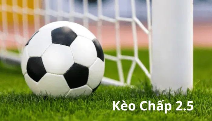 Như thế nào là kèo chấp 2.5?