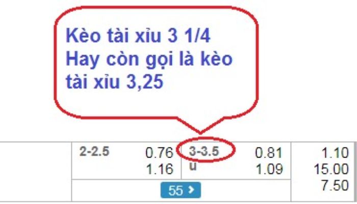 tài xỉu 3,25 là sao