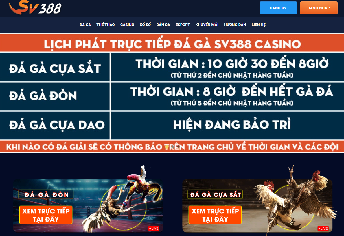 Trực tiếp đá gà tại nhà cái Sv388